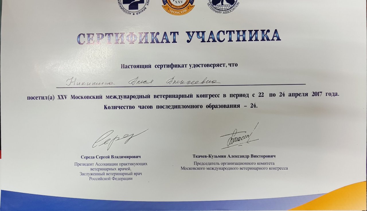 Документ или сертификат