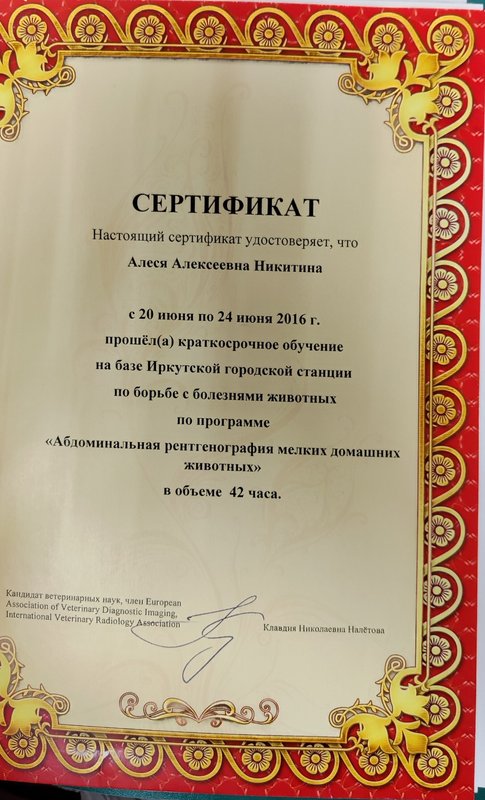 Документ или сертификат