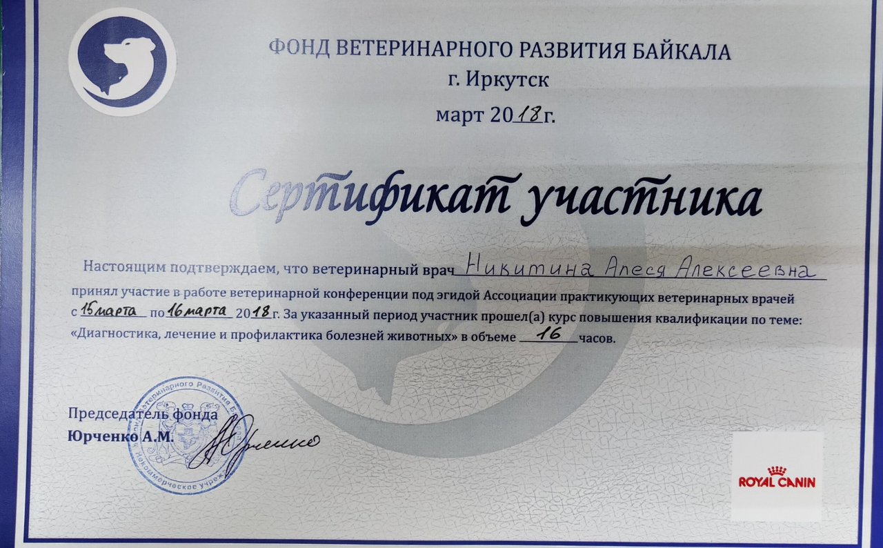 Документ или сертификат