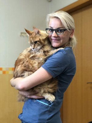 Фото врача Лилякова Виктория Николаевна