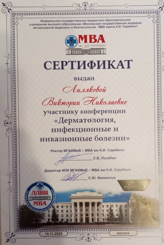 Документ или сертификат