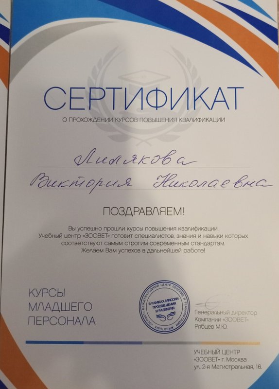Документ или сертификат