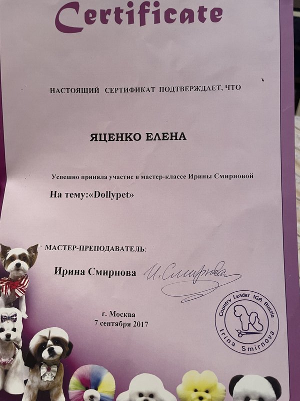 Документ или сертификат