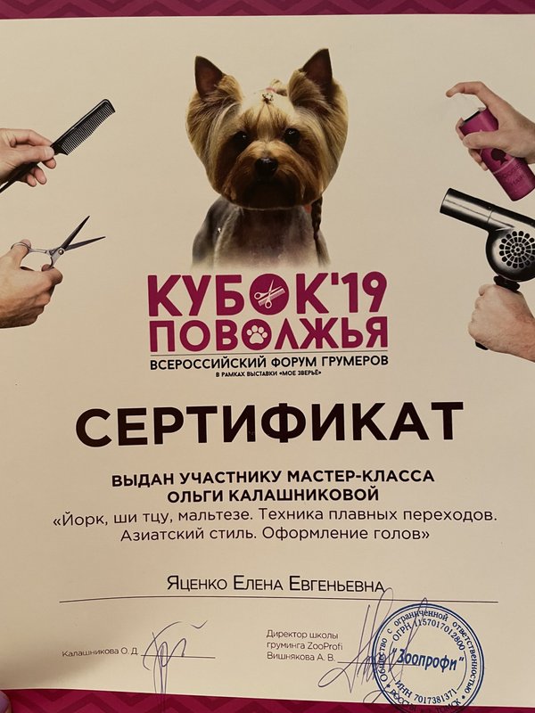 Документ или сертификат
