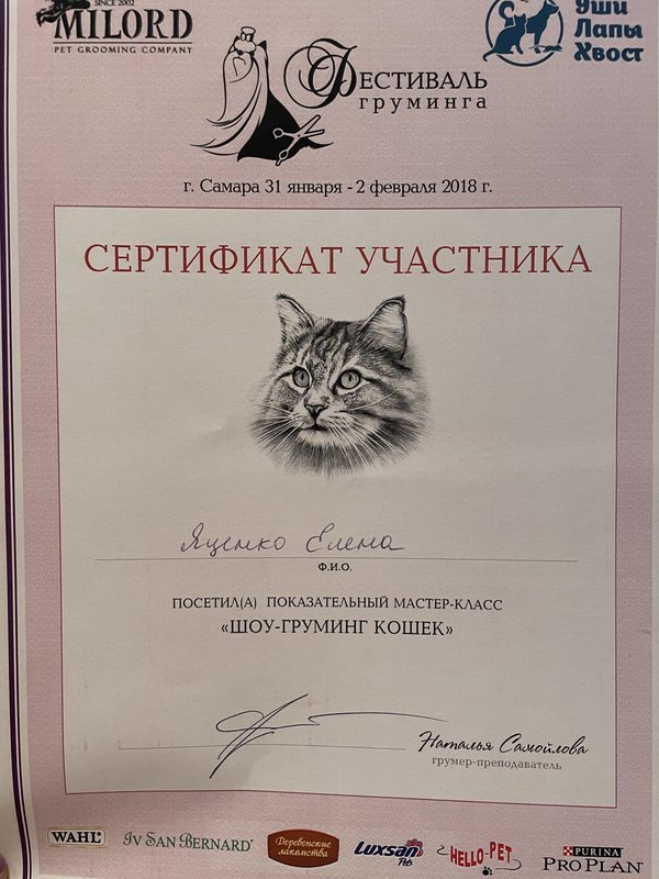 Документ или сертификат