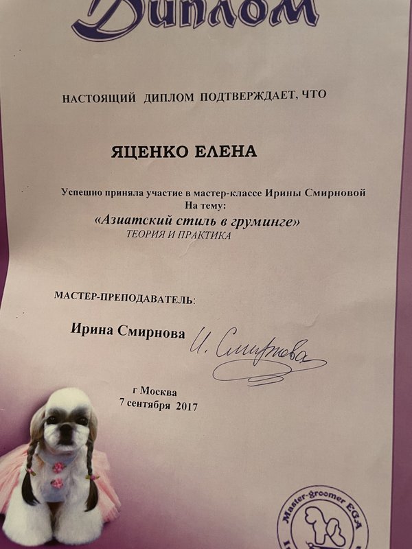 Документ или сертификат