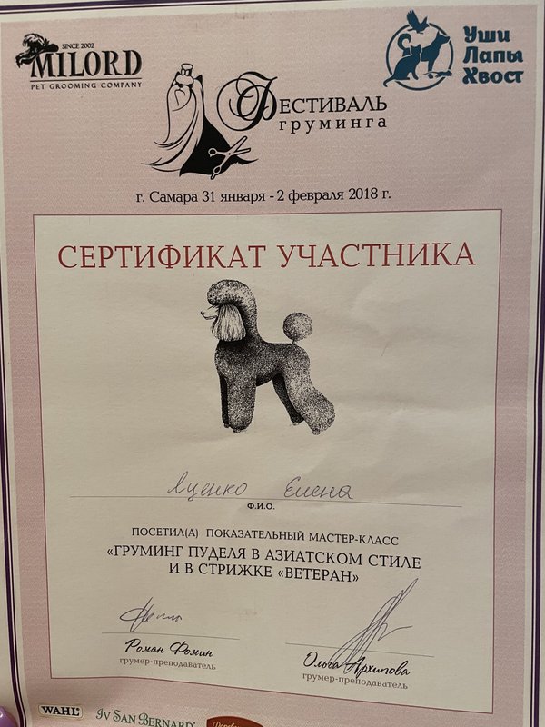 Документ или сертификат