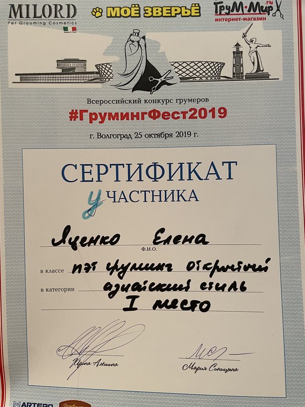 Документ или сертификат