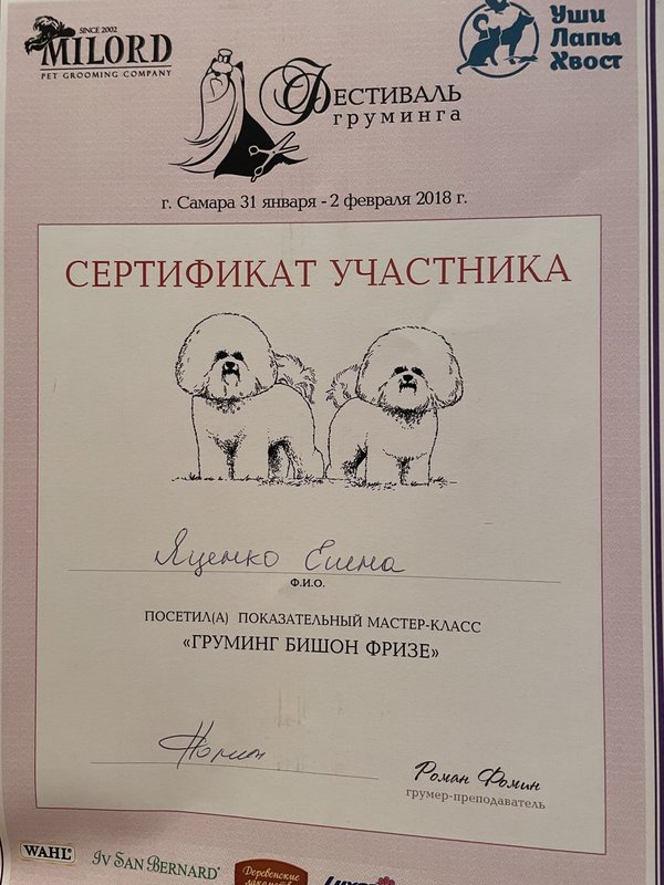 Документ или сертификат