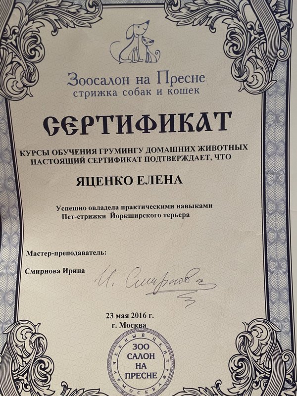 Документ или сертификат
