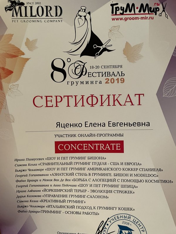 Документ или сертификат