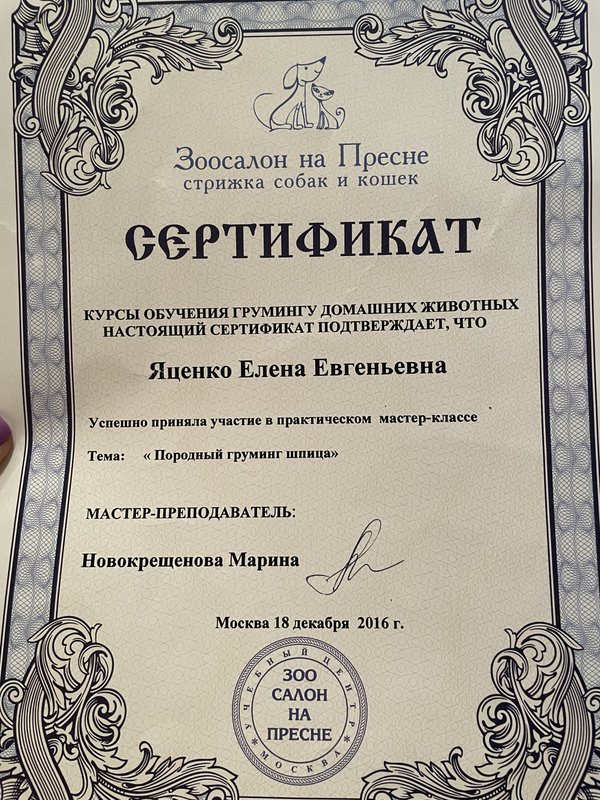 Документ или сертификат