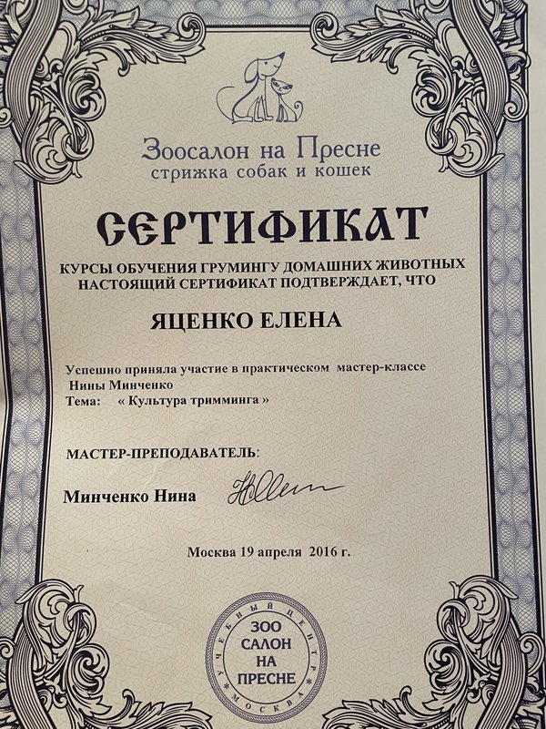 Документ или сертификат