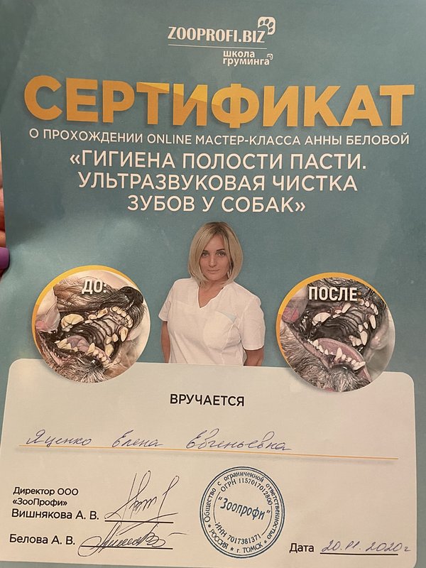 Документ или сертификат
