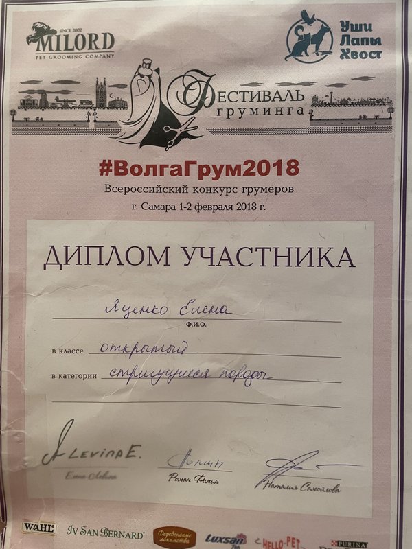 Документ или сертификат