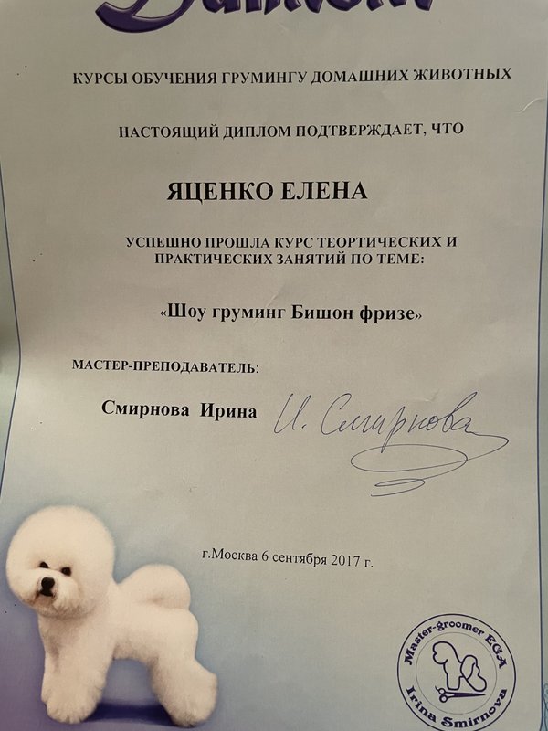 Документ или сертификат