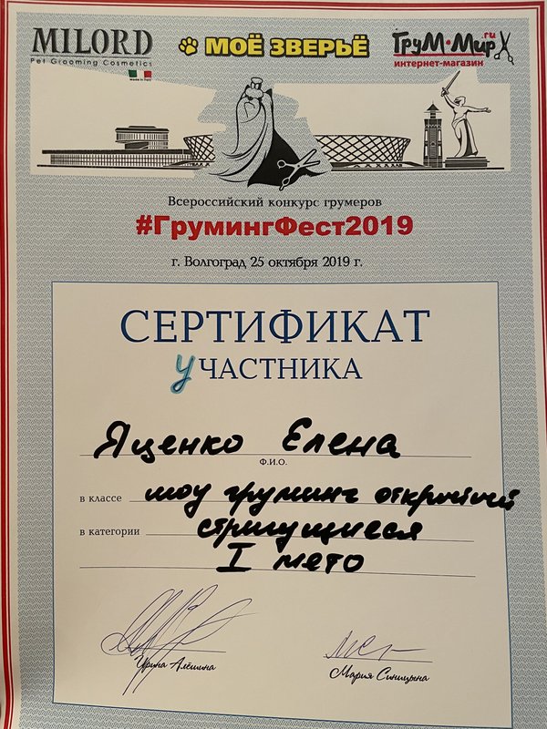 Документ или сертификат