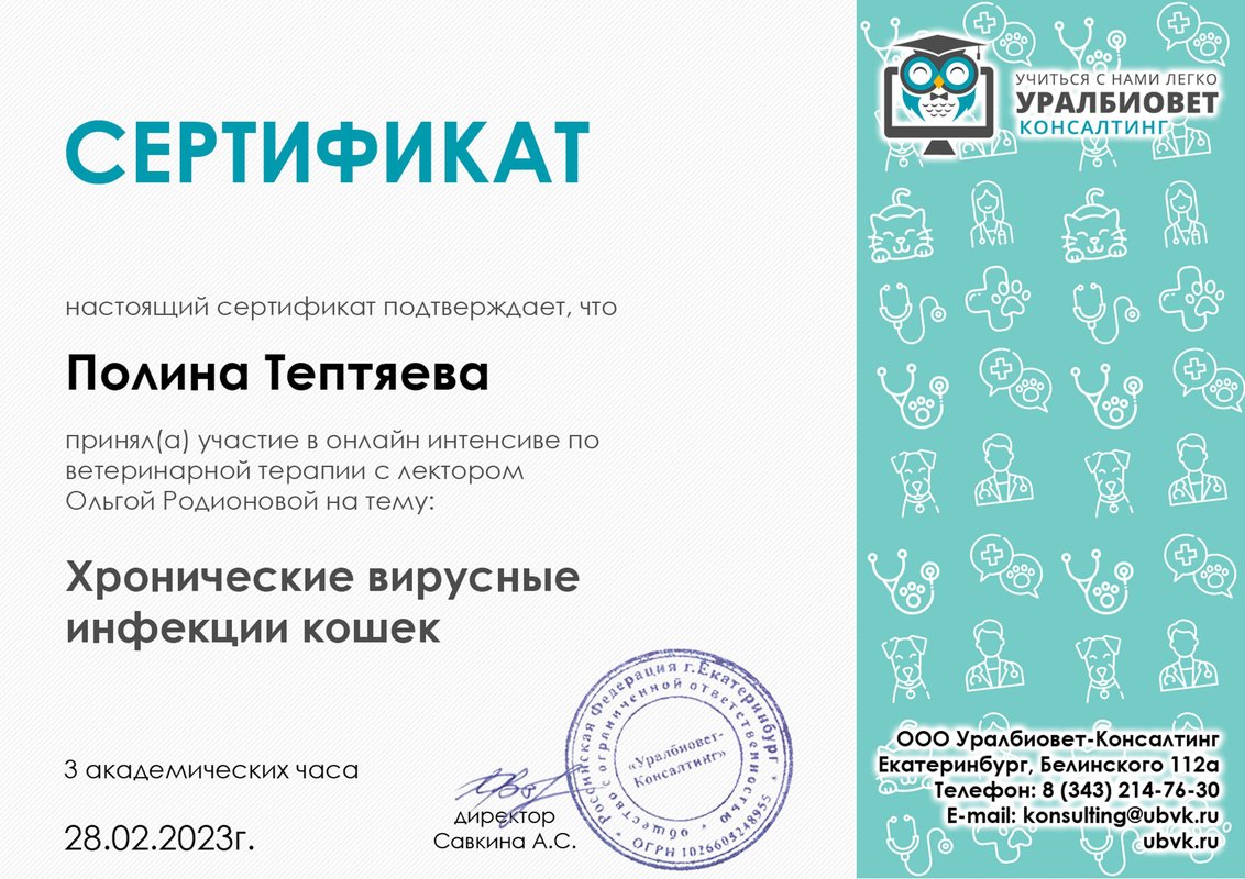 Документ или сертификат