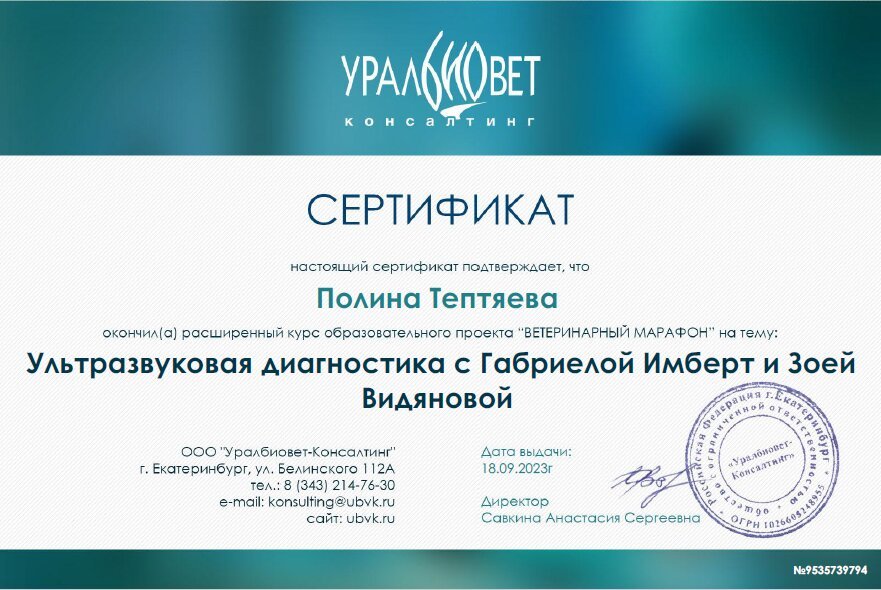 Документ или сертификат