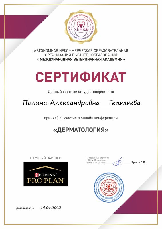 Документ или сертификат