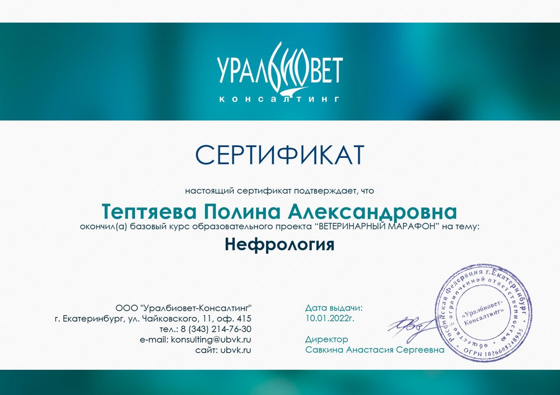 Документ или сертификат