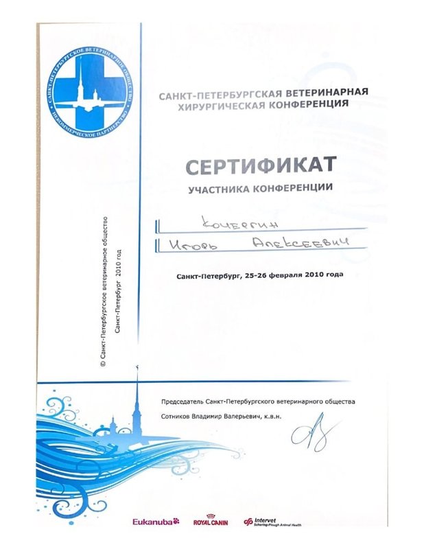 Документ или сертификат