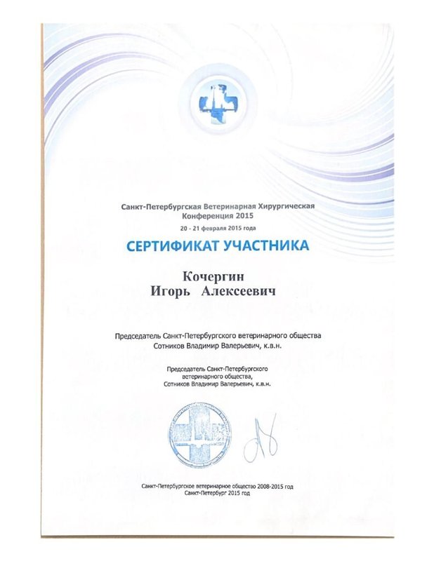 Документ или сертификат