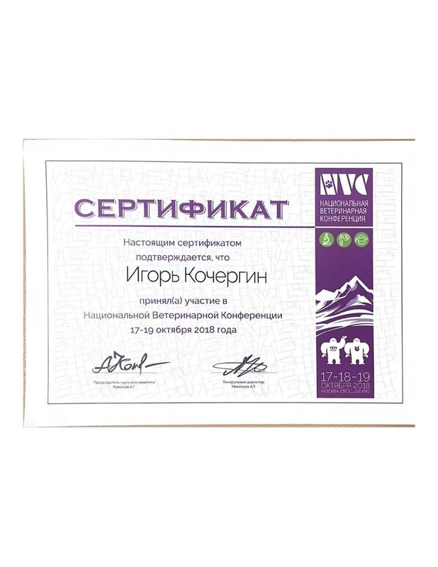 Документ или сертификат