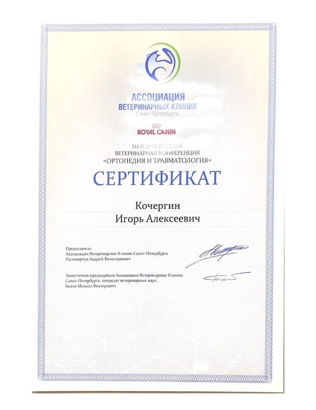 Документ или сертификат