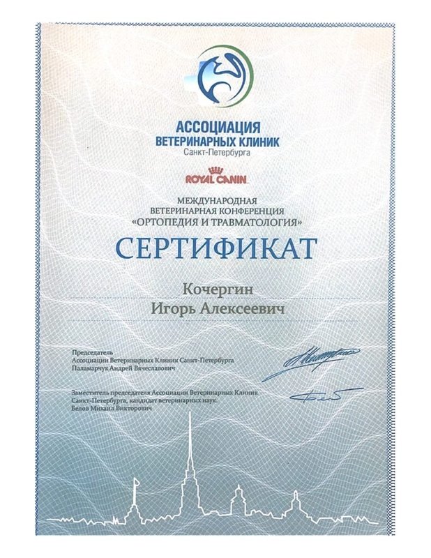 Документ или сертификат