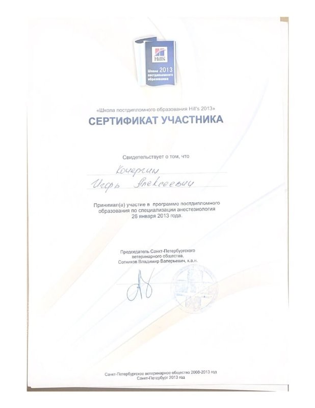 Документ или сертификат