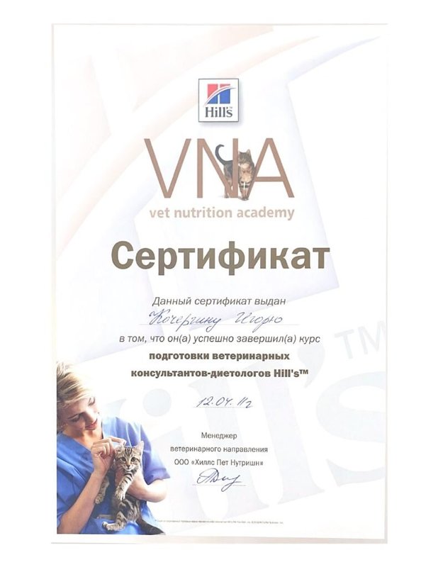 Документ или сертификат