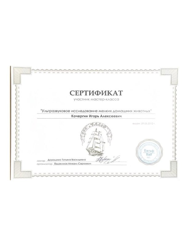 Документ или сертификат