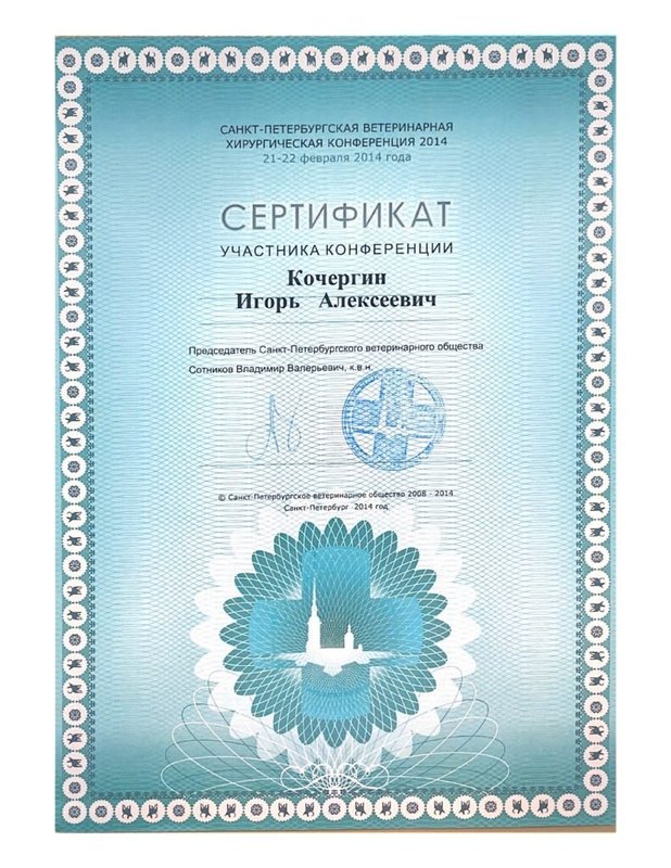 Документ или сертификат