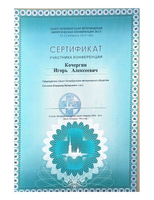 Документ или сертификат