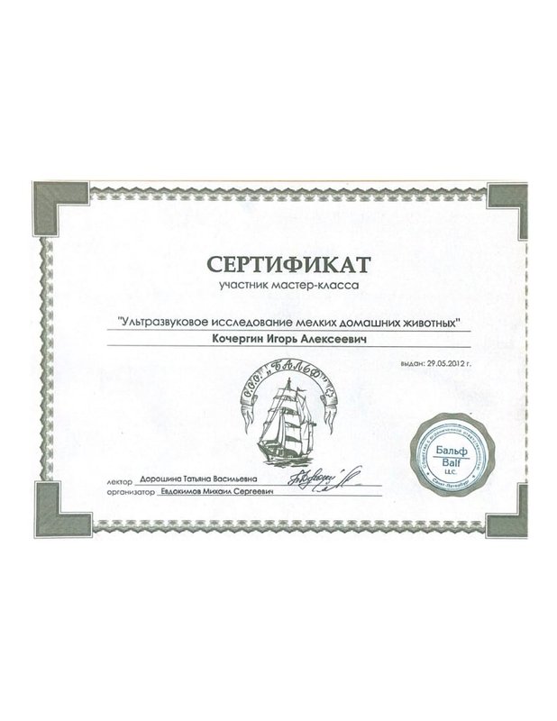 Документ или сертификат