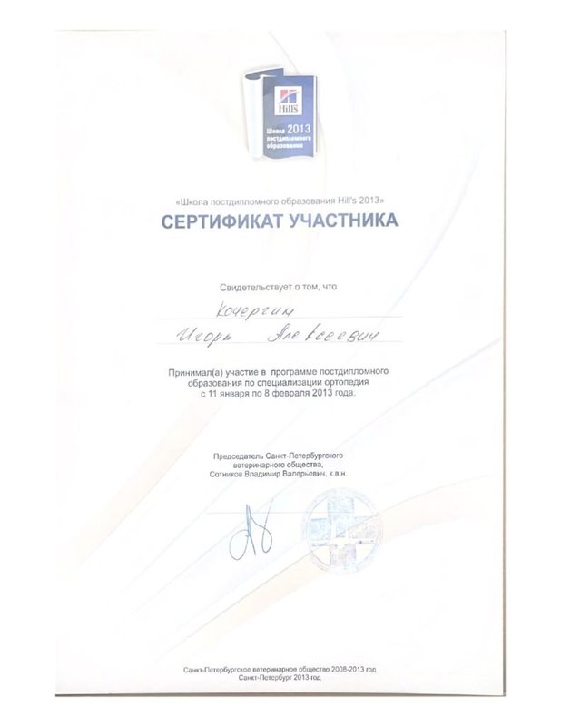 Документ или сертификат