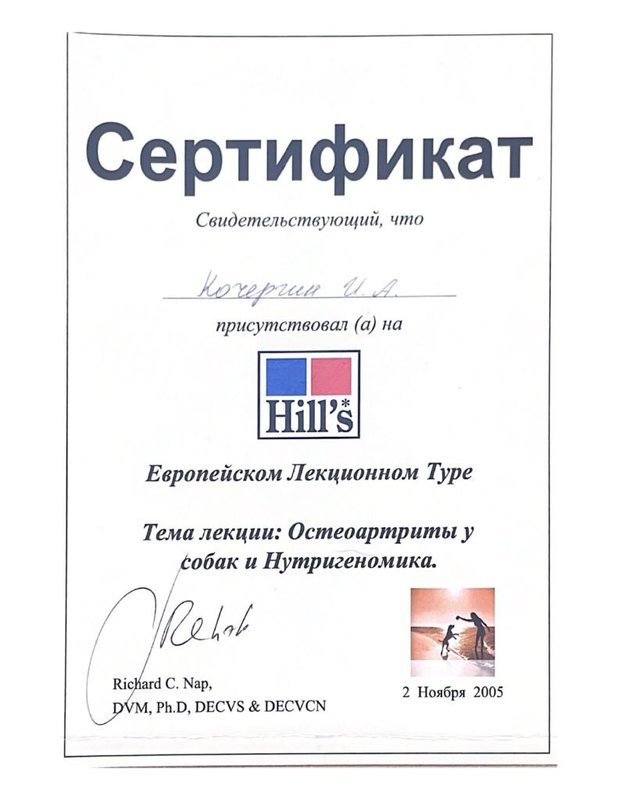 Документ или сертификат