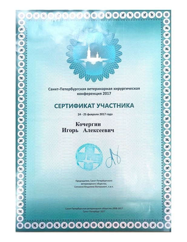 Документ или сертификат