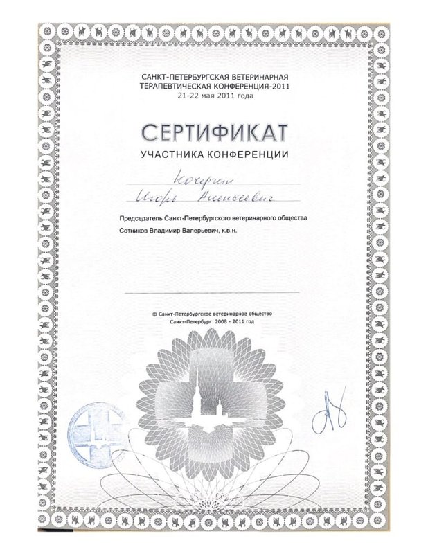 Документ или сертификат