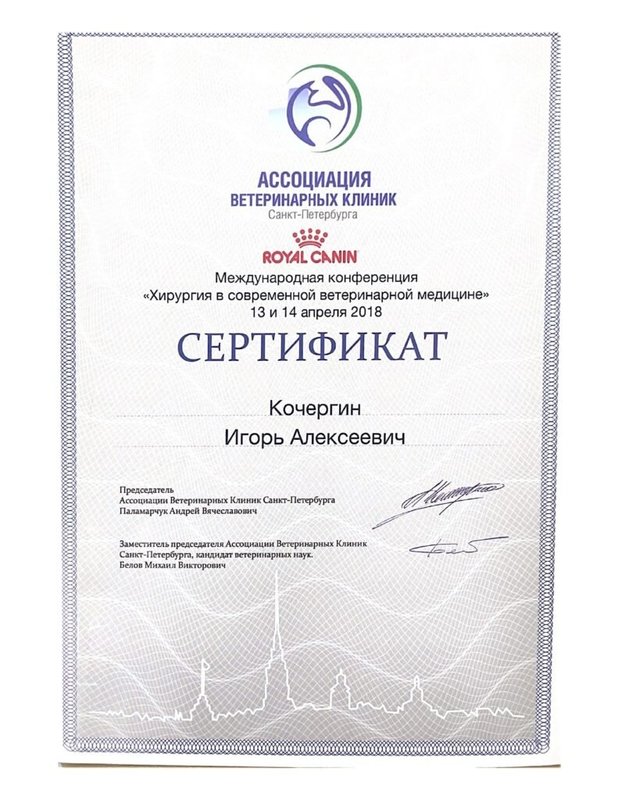 Документ или сертификат
