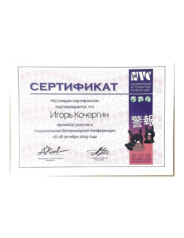 Документ или сертификат