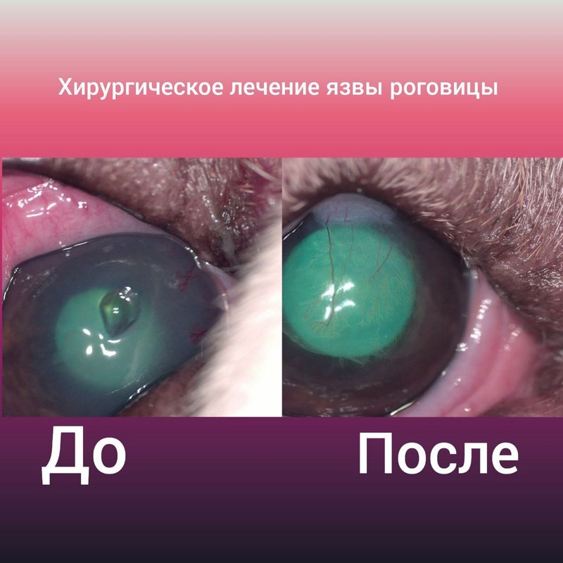 Фото врача