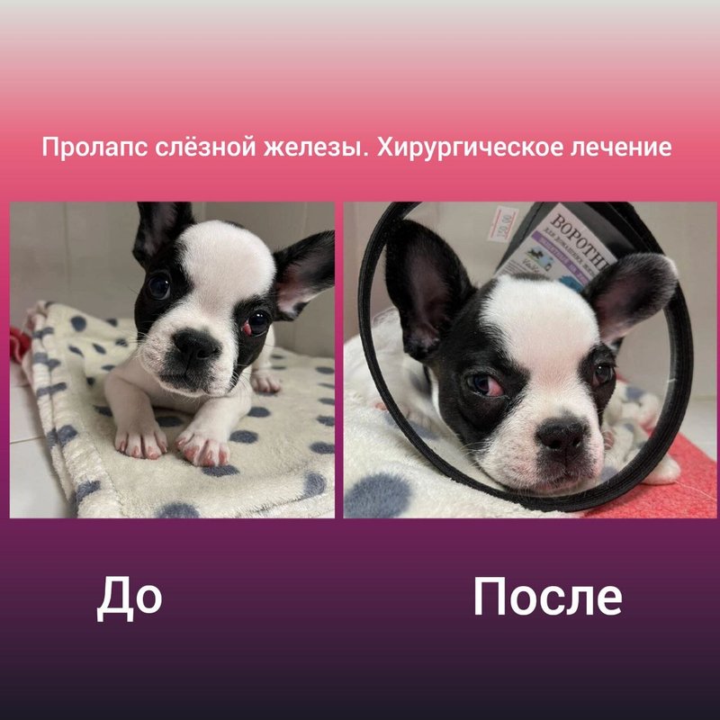 Фото врача