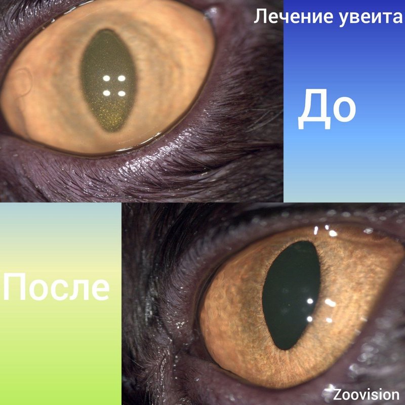 Фото врача