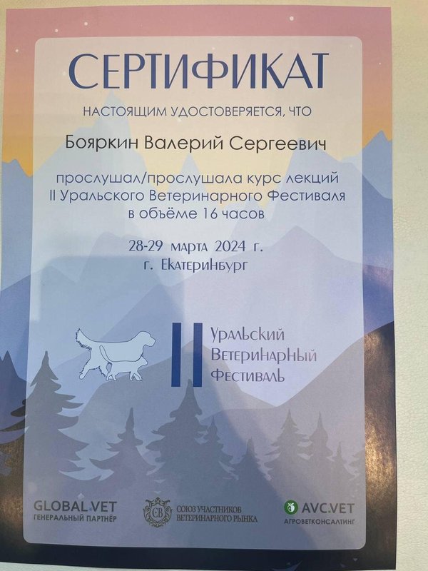 Документ или сертификат