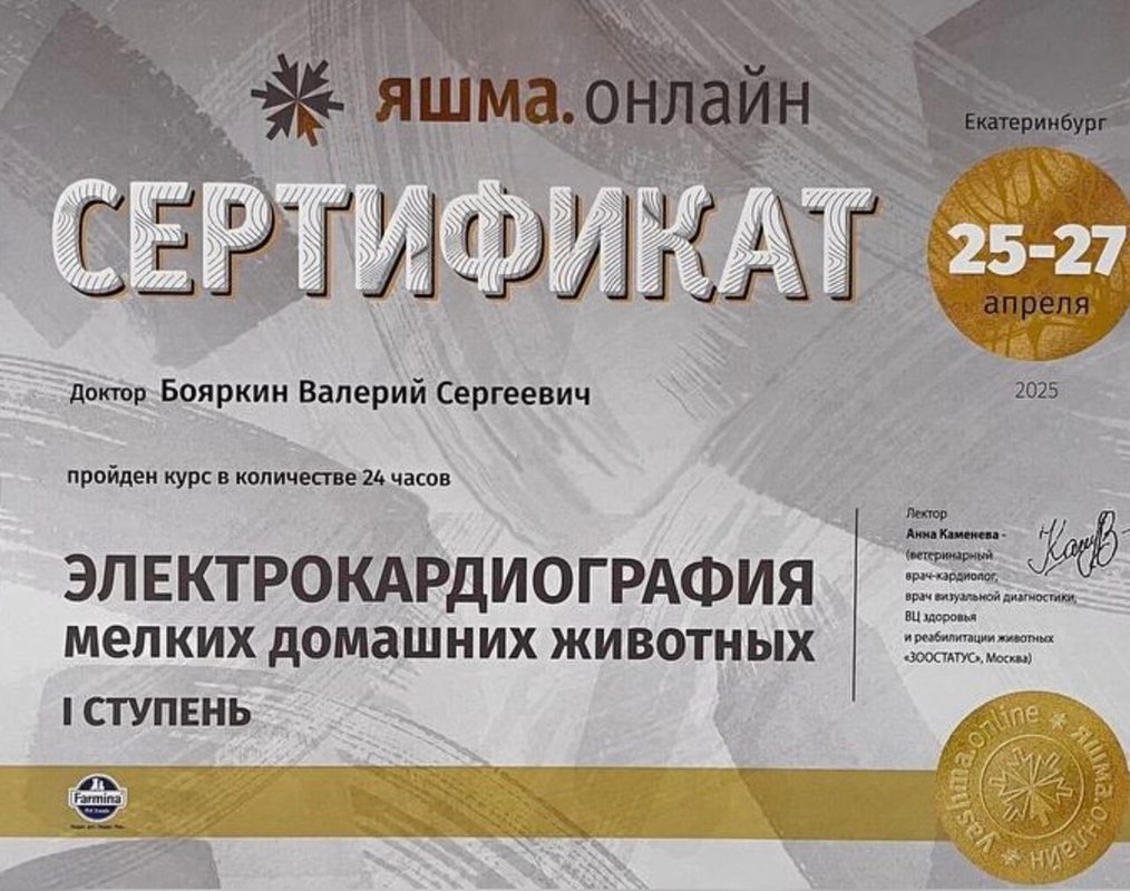 Документ или сертификат