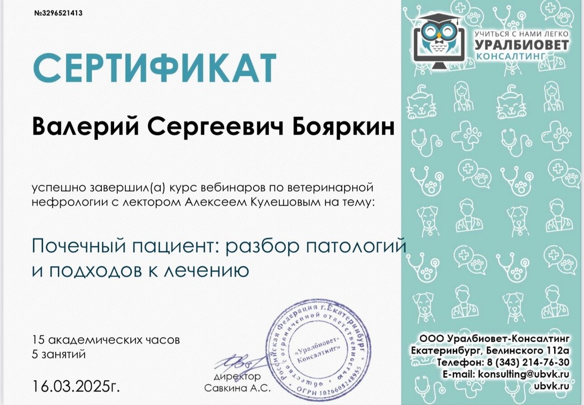 Документ или сертификат
