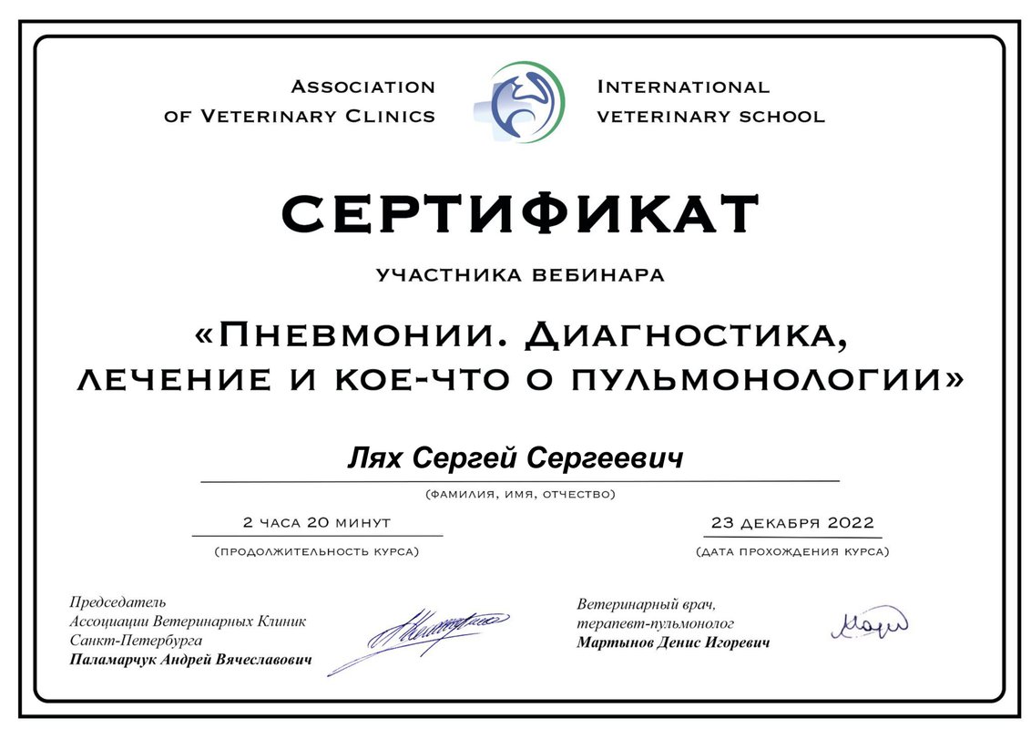 Документ или сертификат