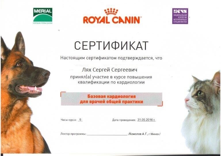 Документ или сертификат